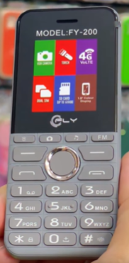 CELULAR FLY FY-100