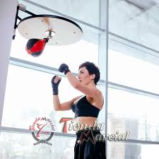 PERA DE BOXEO