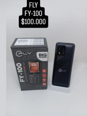 CELULAR FLY FY-100