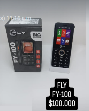 CELULAR FLY FY-100